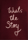 What's The Story Jumper