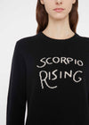 Scorpio Rising Jumper