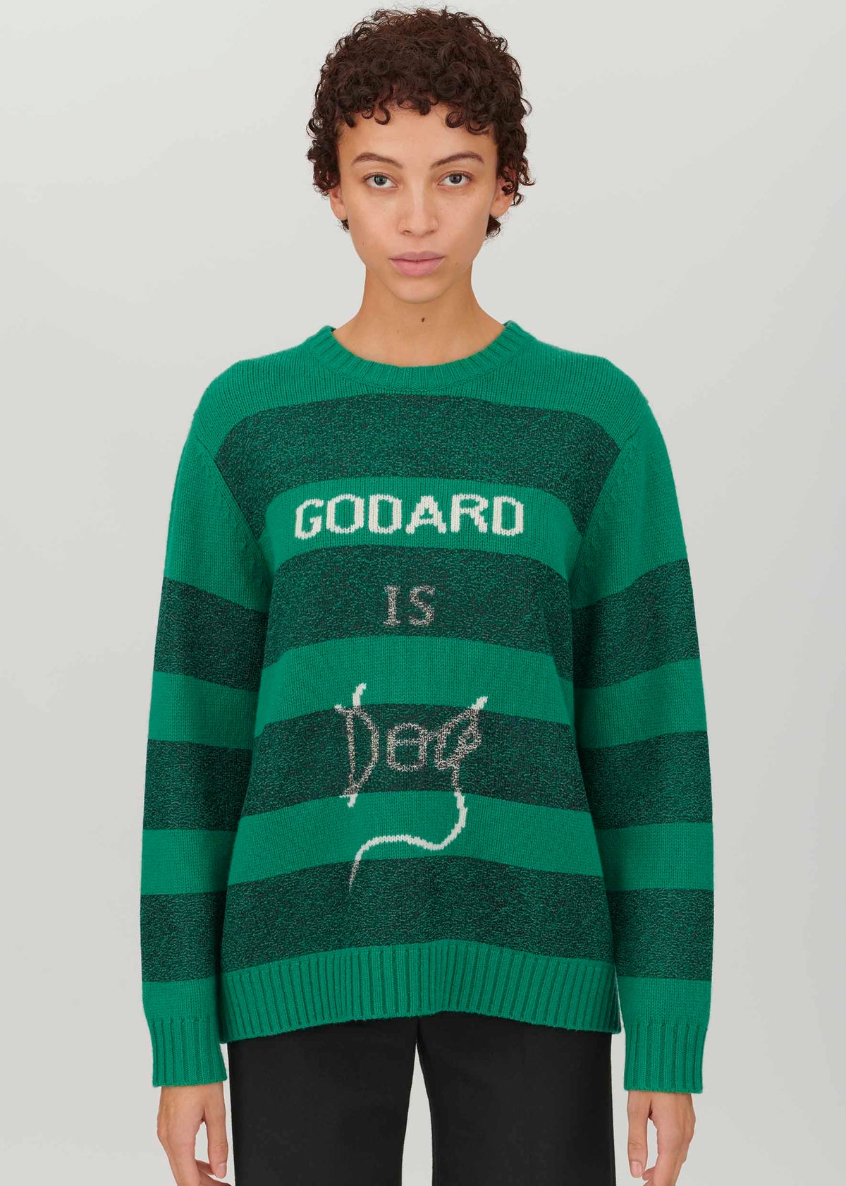 Punk Godard Is Dog Jumper