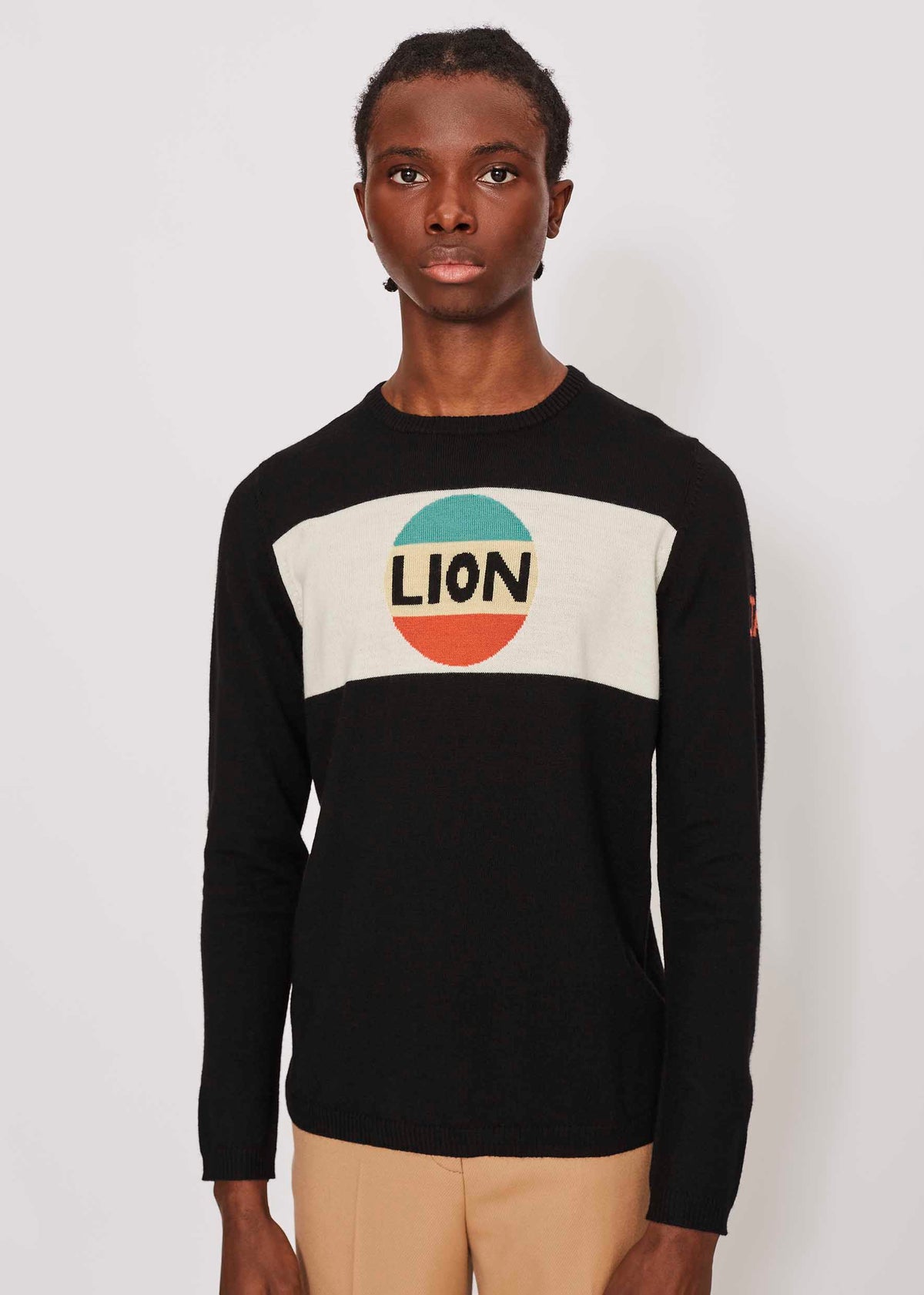 Mens Lion Stripe Jumper